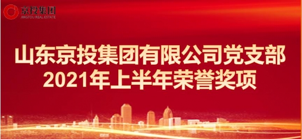 山東京投集團有限公司黨支部榮譽獎項（2021.1--2021.6）